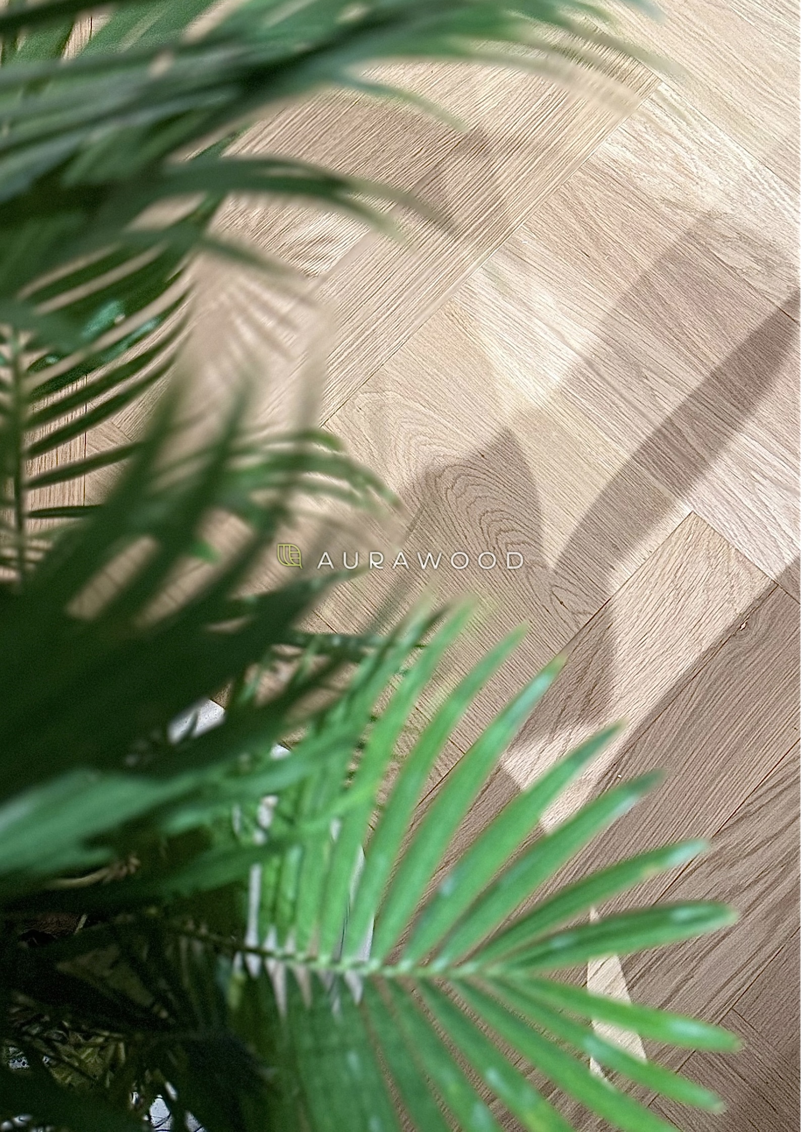 Sàn gỗ của Aura Wood