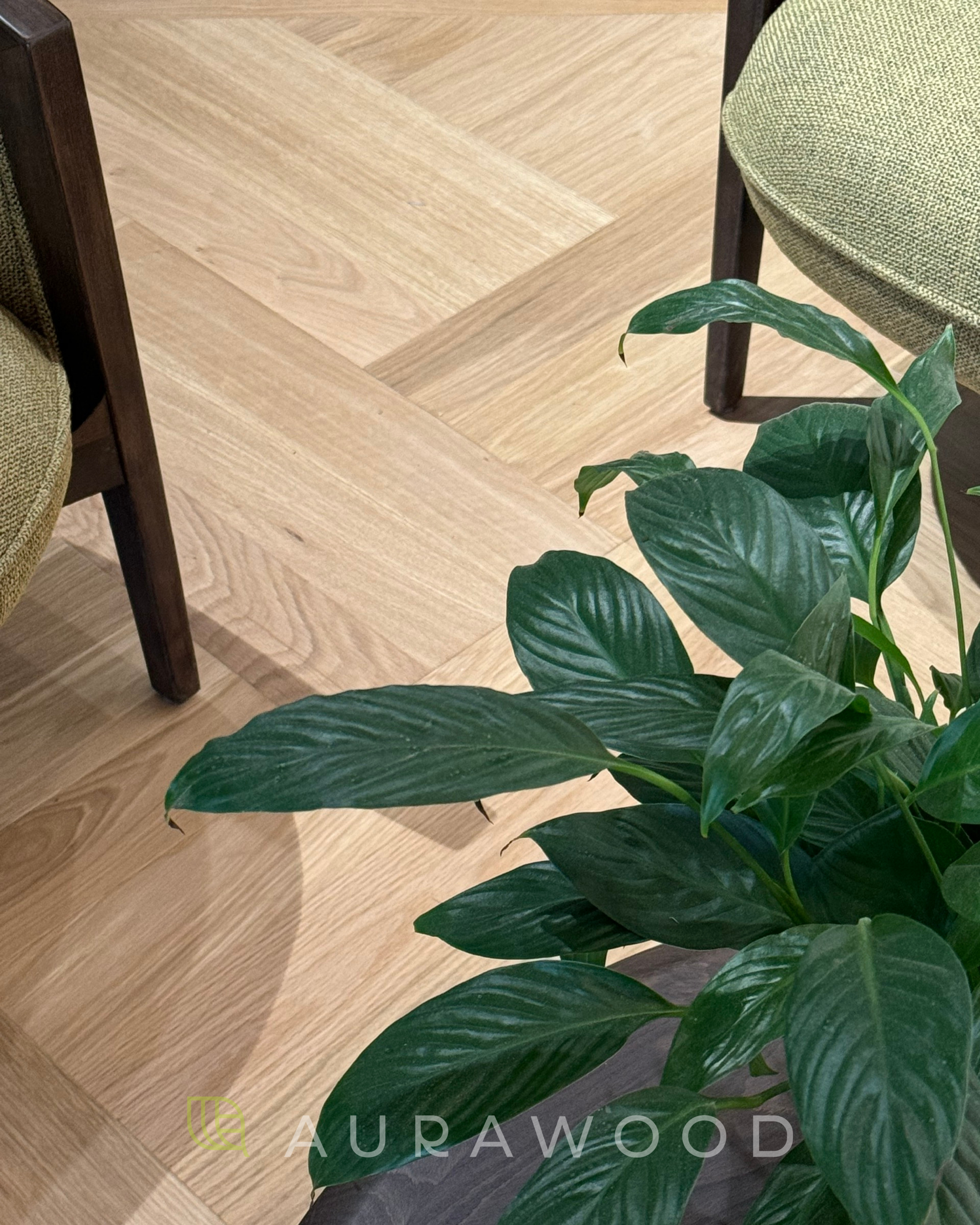 Sàn gỗ của Aura Wood